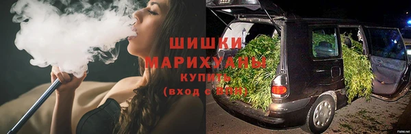 ПСИЛОЦИБИНОВЫЕ ГРИБЫ Алексин