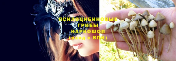 ПСИЛОЦИБИНОВЫЕ ГРИБЫ Алексин