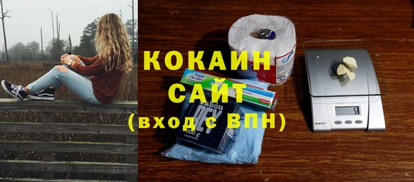 ПСИЛОЦИБИНОВЫЕ ГРИБЫ Алексин