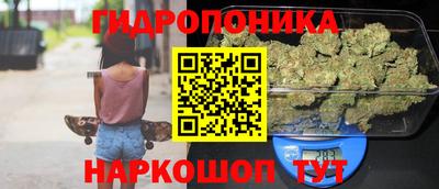 дмт Камень-на-Оби