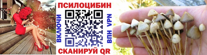 где купить   Киржач  Псилоцибиновые грибы GOLDEN TEACHER 